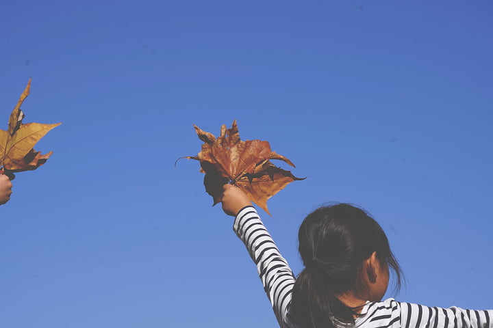 ロハスキッズ・センター クローバーの外遊びのイメージ